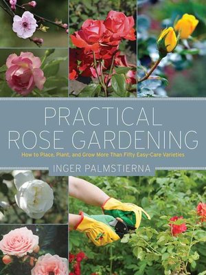 cover image of Practical Rose Gardening